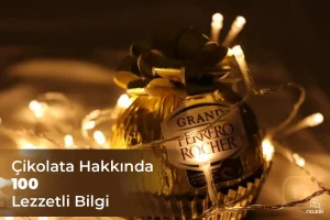Çikolata Hakkında 100 Lezzetli Bilgi