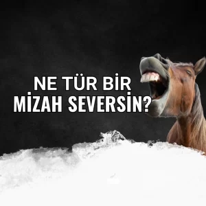 Mizah Seviyeni Öğren | Test