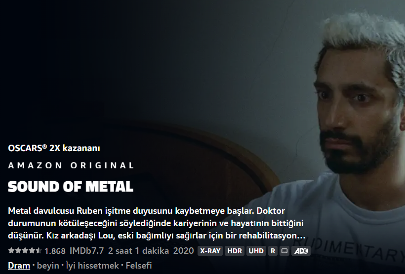Metalin Sesi (Sound of Metal) - 2019