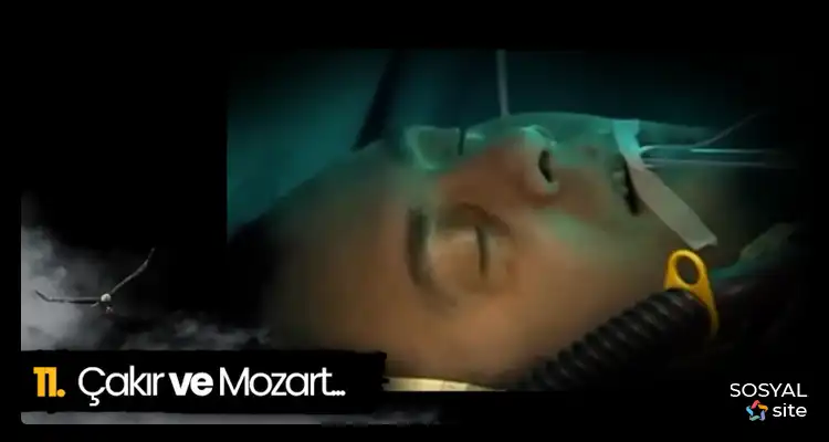 Süleyman Çakır ve Mozart