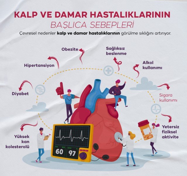 kalp krizi riski kalp ve damar hastalıklarının başlıca sebepleri